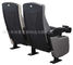 Cadeiras de couro dobráveis do teatro do cinema com o suporte de copo móvel 600 * 770 * 1060 milímetros fornecedor