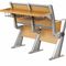 A mesa e a cadeira da escola de Childs do anfiteatro ardem - a madeira compensada retardadora do revestimento fornecedor